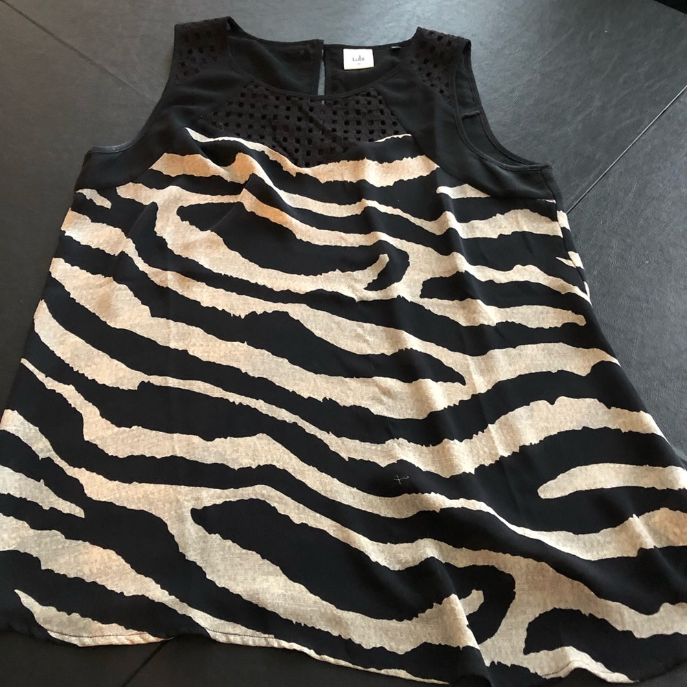 CAbi top